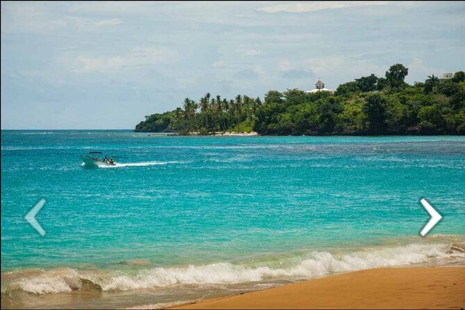 Tours to Saona Island - Isla Saona stop: your first look and why the briefing matters