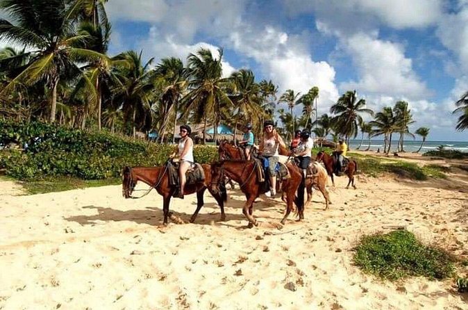 Trial Pack Punta Cana - Should you book the Trial Pack Punta Cana?
