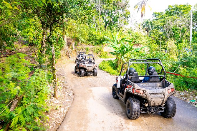 Triple fun! Monkeyland + Damajagua Waterfalls + Buggies from Puerto Plata - A Three-Stop Puerto Plata Day: Waterfalls, Buggies, and Squirrel Monkeys