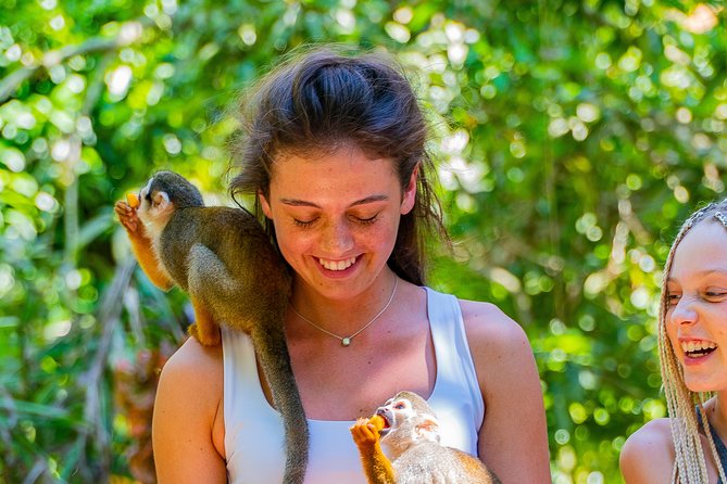Triple fun! Monkeyland + Damajagua Waterfalls + Buggies from Puerto Plata - Damajagua Waterfalls: Getting to a Real Natural Wonder