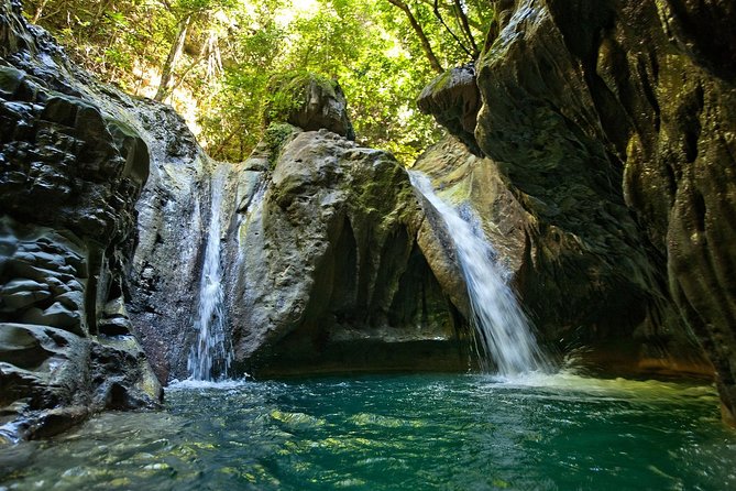 Triple fun! Monkeyland + Damajagua Waterfalls + Buggies from Puerto Plata - Monkeyland: Feeding Squirrel Monkeys Where They Roam