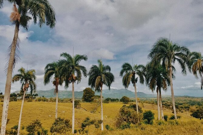 Tropical Escape Tour - Anamulla River stop: a scenic pause built into the route
