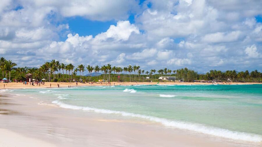 Ultimate Buggy Expedition from Punta Cana with blue cenote - The ranch stop: coffee, chocolate, tobacco, and local tasting