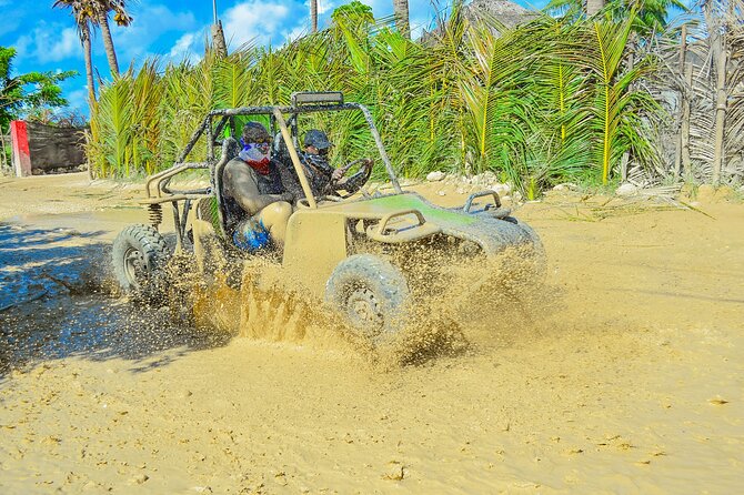 Unlimited Fun in Buggy and ATV and Horses in Punta Cana - Key reasons this tour is worth your time