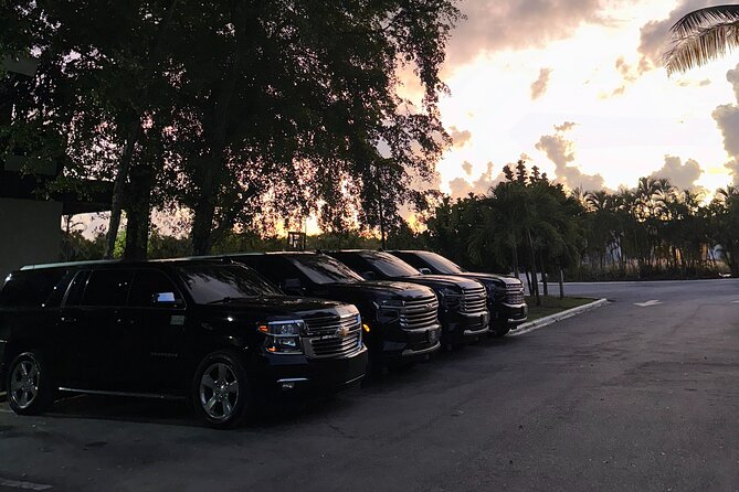 VIP Executive Airport Transfer – Luxury Ride in Punta Cana - Finding your driver at PUJ without the headache
