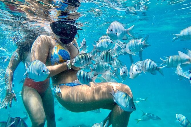VIP Fascinating Boat Ride & Snorkeling at Sosua Bay - Key things to know before you book