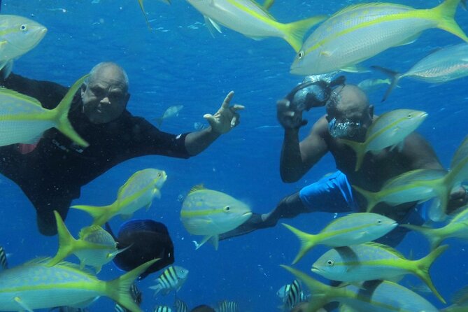 VIP Party Boat & Snorkeling - Cruise Views: Beaches, Dolphin Island, and What You Pass While You’re Sailing