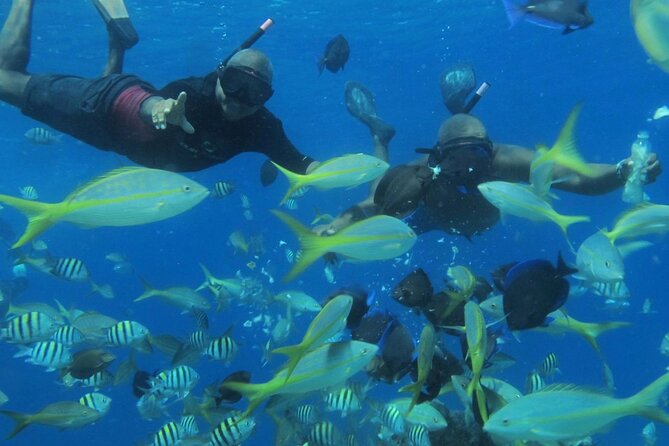 VIP Party Boat & Snorkeling - Getting to Sosua Without the Headache: Pickup, Dock Time, and Mobile Tickets