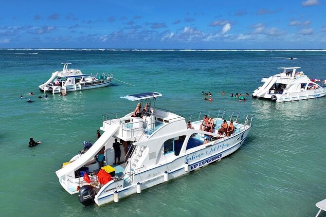 VIP Private Booze Cruise with Live Dj and BBQ in Punta Cana - Key highlights worth planning around