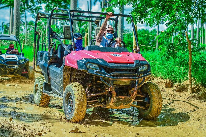 Vip Punta cana Buggies - Tours Point Ranch: Coffee, Cacao, Tobacco, and What Farming Really Looks Like