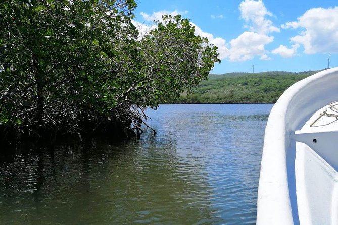 VIP tour to Paradise Island & The Mangroves - VIP value: what you’re actually paying for
