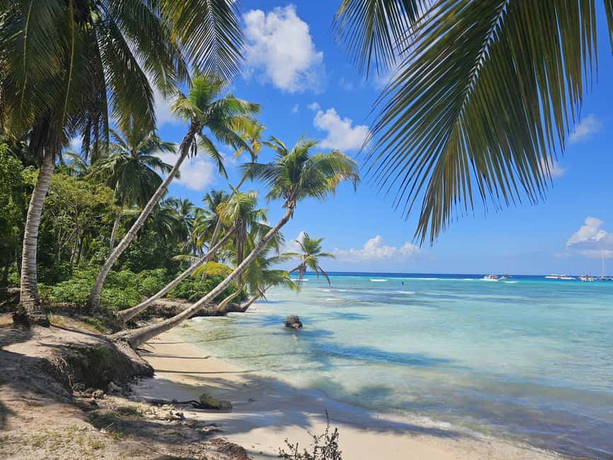 VIP tour to Saona Island by speedboat with a visit to paradise beaches - Why This Saona Day Feels “VIP” (Even When It’s a Long 11 Hours)