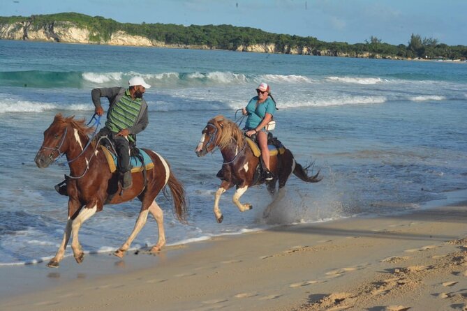 Want to Learn to Gallop at Bavaro Punta Cana Beach! - Key Highlights You’ll Care About