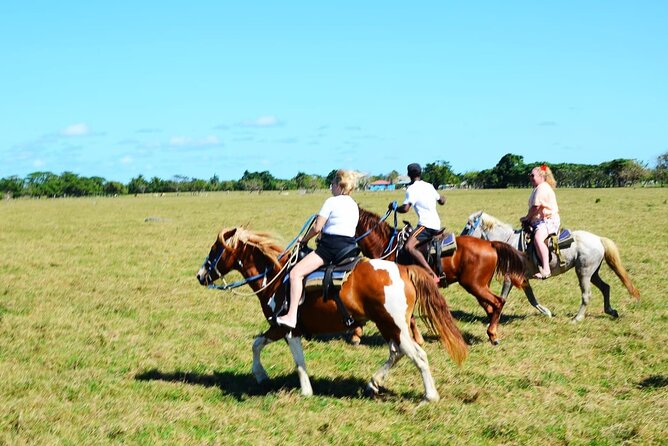 Want to Learn to Gallop at Bavaro Punta Cana Beach! - How 2 Hours Adds Up to Value at $65.95