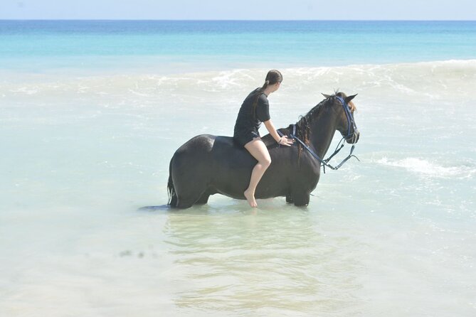 Want to Learn to Gallop at Bavaro Punta Cana Beach! - Timing, Heat, and What to Prepare For