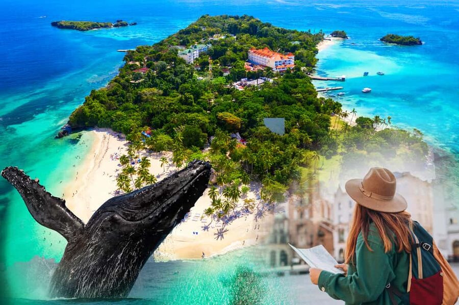 Whale Watching + Cayo Levantado - Getting started at the Malecon in Samana at 8:30 AM