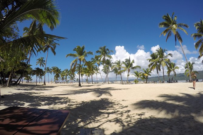 Whale Watching in Samana - The island break on Cayo Levantado (Bacardi Island)