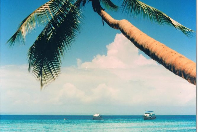 Whale Watching in Samana - Small group size: what max 15 changes