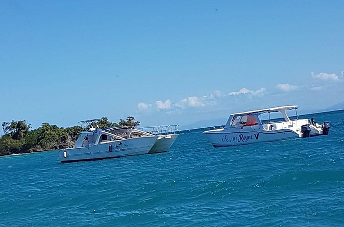 Whale Watching in Samana - Who this tour suits best