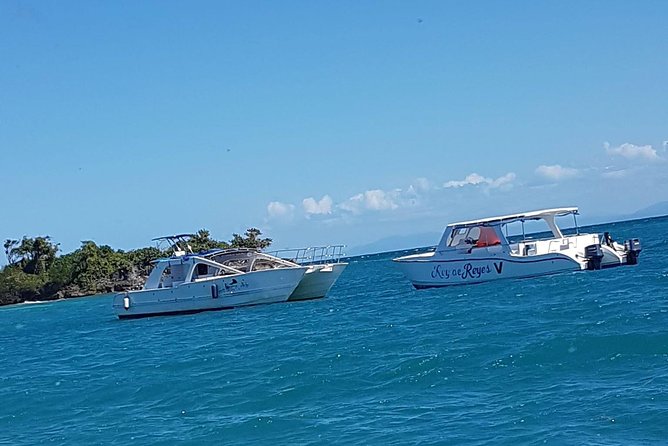 Whale Watching in Samana - Price vs. value: is it worth it?