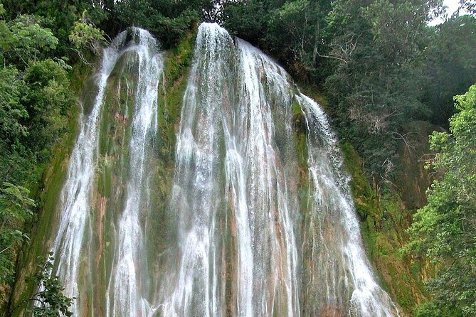 Whale Watching & Limón Waterfall Day Trip - El Salto del Limón: 165-Feet of Waterfall Power (and Stairs)