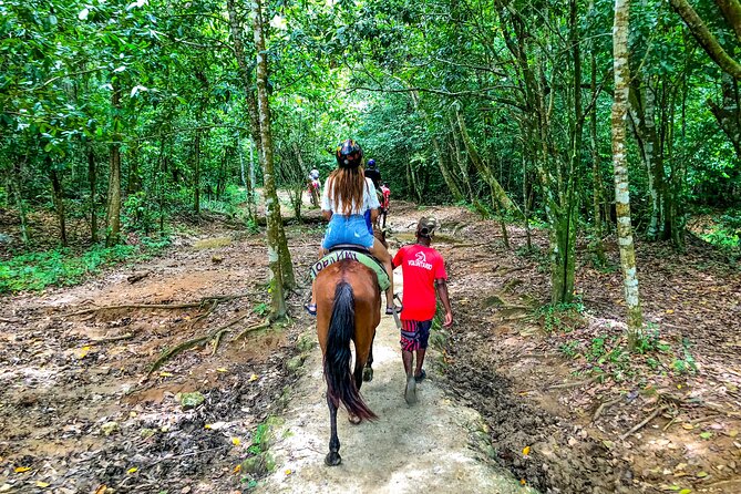 Whale Watching & Limón Waterfall Day Trip - The 30-Minute Horse Ride Through Coffee, Cocoa, and Fruit Country