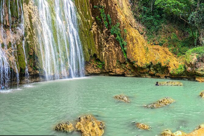 Whale Watching & Limón Waterfall Day Trip - Weather and What Can Change During Whale Season