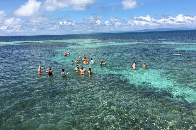 Whales Watching Half Day Experience - Whale watching in Samana Bay: making the 45 minutes count
