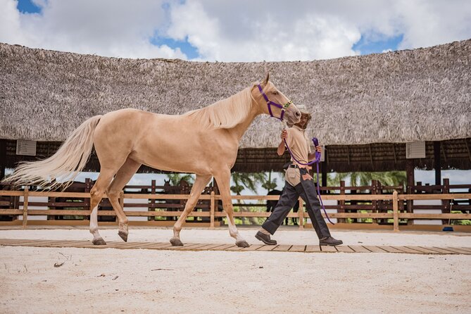 Xploration Animal Encounters Half Day Tour from Punta Cana - Horseback Riding in the Dominican Countryside: Fun, Real, and Weather-Sensitive
