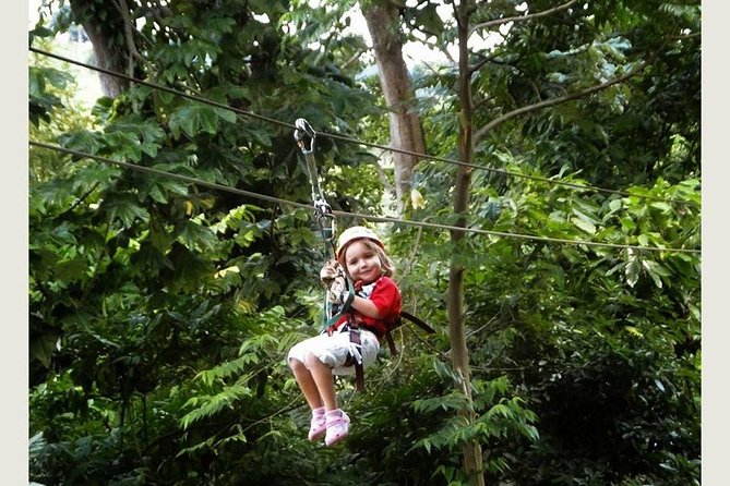 Zip Line - Half Day Adventure - Stairs, Timing, and How to Pack for a Flying Circuit