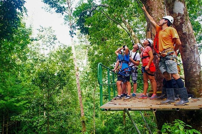Zip Line - Half Day Adventure - Guides, Group Size, and Why the Crew Matters