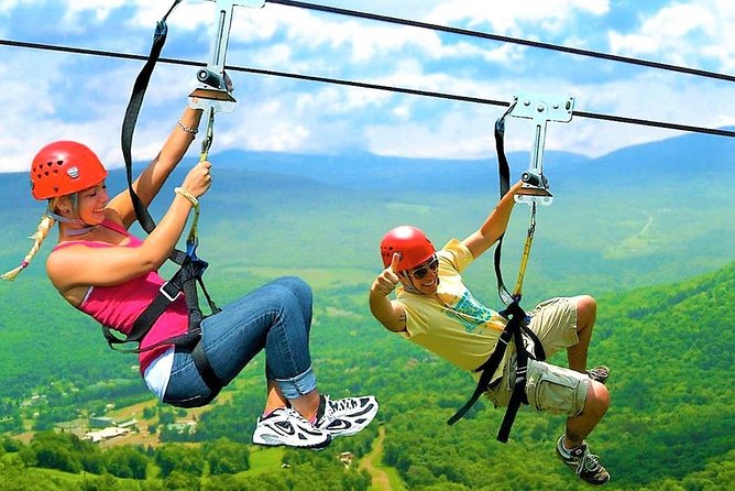 Zip Line - Half Day Adventure - Price and Value: Is $80 a Fair Deal?