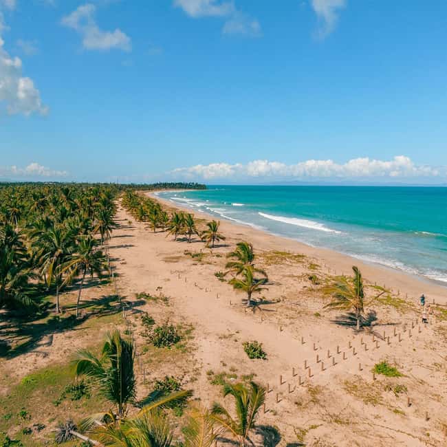 Zip Line Playa Esmeralda With Redonda Mountain - The zip line: adrenaline with built-in scenery views