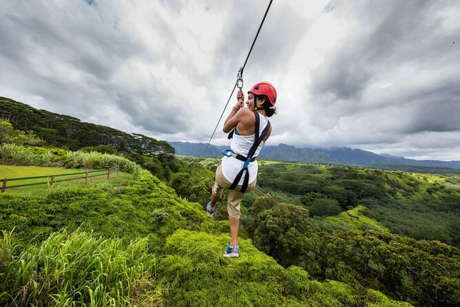 Zipline Adventure in Punta Cana – Thrilling Canopy Experience - The Course: 8 Lines, 1 Bridge, and Views Up to 60 Feet