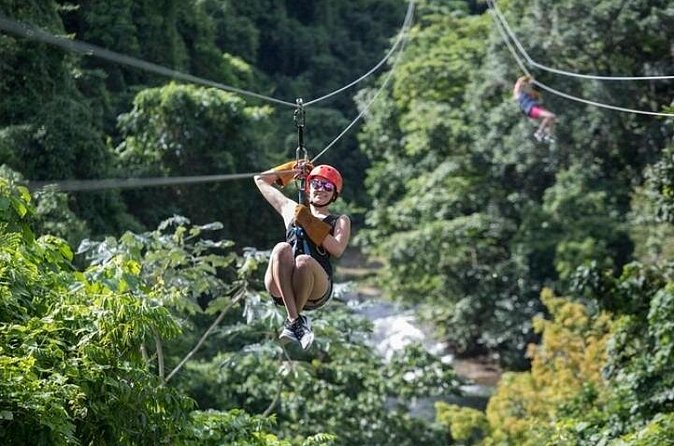 Zipline Adventure in Punta Cana – Thrilling Canopy Experience - Group Size: Up to 14 People Changes the Vibe