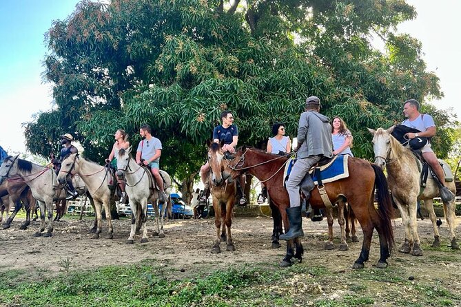 Zipline,Dune Buggy,Horse Riding - Horseback Riding Through Mountains, Riverbeds, and Cocoa Plantations