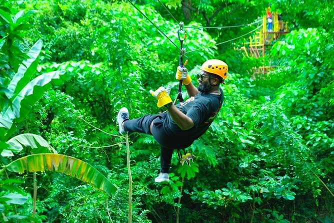 Zipline Expedition In Punta Cana - The Rainforest Hike to the Platforms: Where the Day Builds Momentum