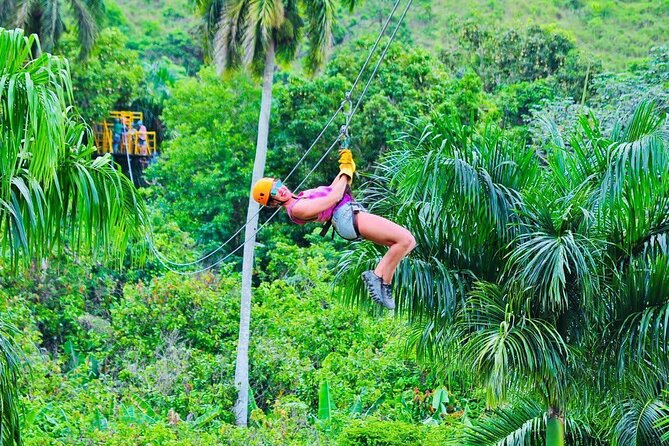 Zipline, Horse, Buggy and Macao Beach, Water Park with Lunch - Organic Farm Stop: Coffee, Green Tea, and Local Learning