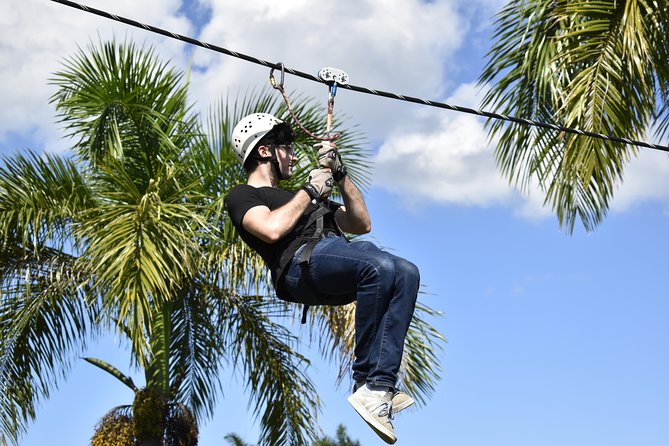 Ziplining from Punta Cana - Unique Carbon Fiber lines in Punta Cana - Price and Value: Is $78.99 a Good Deal Here?
